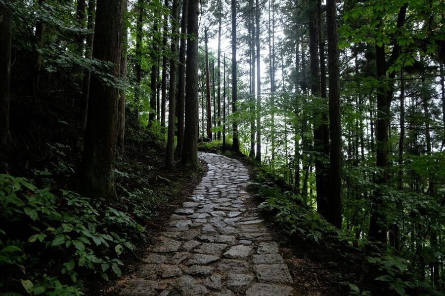 1-Day Tour from Nagoya: Hiking the Historic Nakasendo Trail - Key points to know before booking
