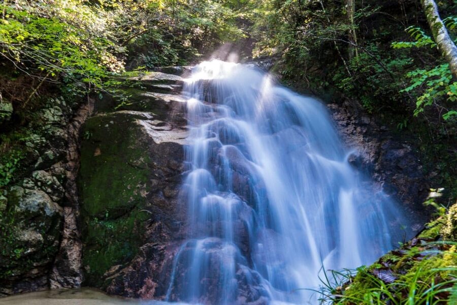 1-Day Tour from Nagoya: Hiking the Historic Nakasendo Trail - Who will enjoy this day most