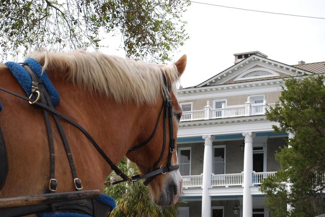 #1 Historical Horse Drawn Carriage Tour - Starting on Bay Street with Beaufort’s past