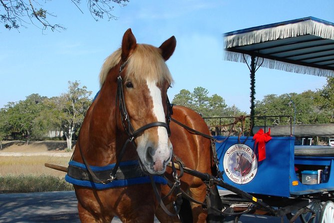 #1 Historical Horse Drawn Carriage Tour - What you actually see in 55 minutes