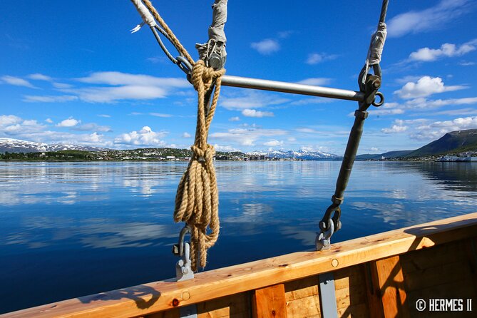 1 Hour Photo & History Cruise - Timing and meeting point in central Tromsø