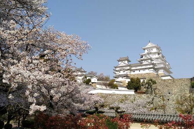 2.5 Hour Private History and Culture Tour in Himeji Castle - Who will get the most from this tour