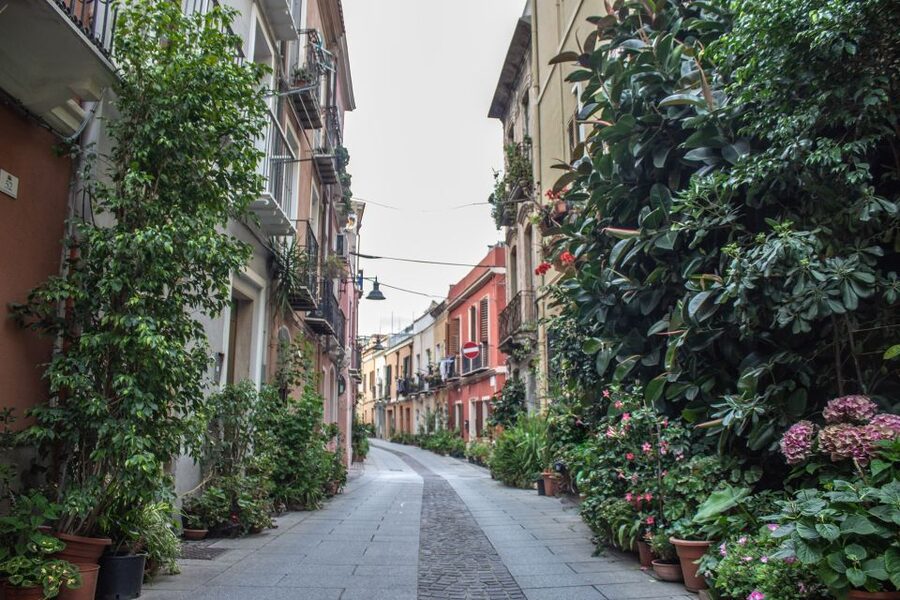 3 Hours Guided Tour of the Historical Cagliari - What makes Valentina’s guiding effective