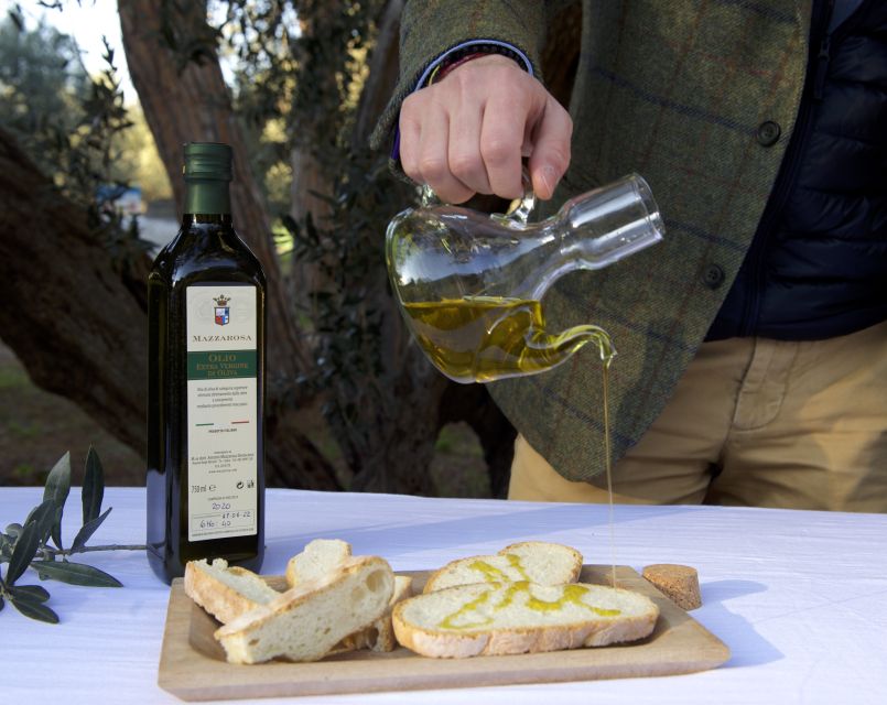 Abruzzo: Historic Cellar Wine Tour and Tasting - Practical details before you book
