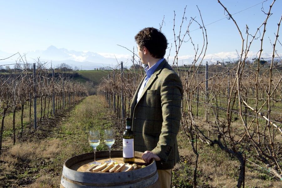 Abruzzo: Historic Cellar Wine Tour and Tasting - A 90-minute introduction to Abruzzo wine