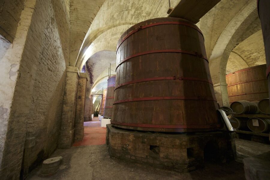 Abruzzo: Historic Cellar Wine Tour and Tasting - Ending with Cantuccini and Vino Cotto