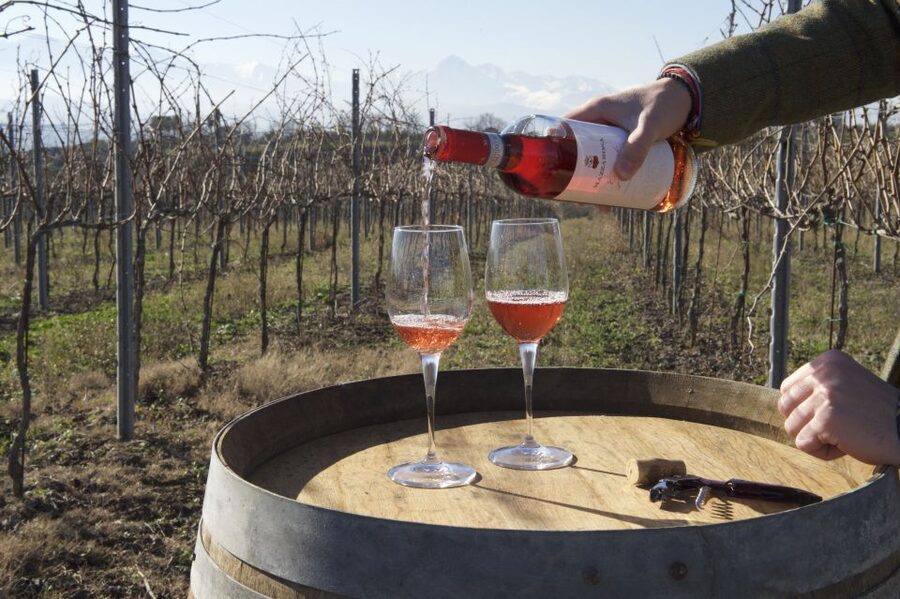 Abruzzo: Historic Cellar Wine Tour and Tasting - Who will enjoy this cellar visit?