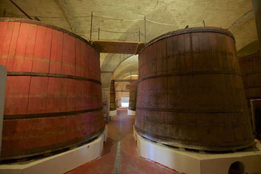 Abruzzo: Historic Cellar Wine Tour and Tasting - Starting with vineyards, olive groves, and 1863