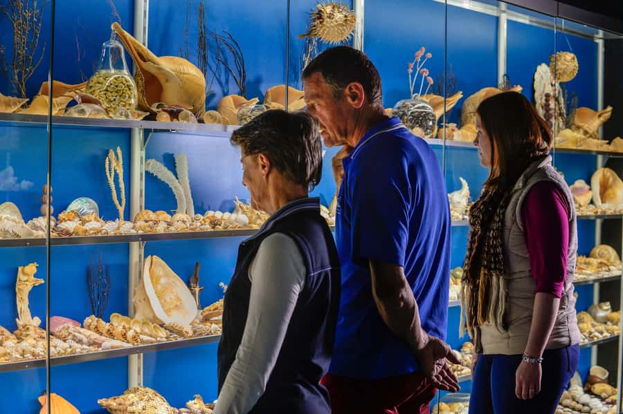 Albany: Historic Whaling Station Entry Ticket - How much time should you allow?
