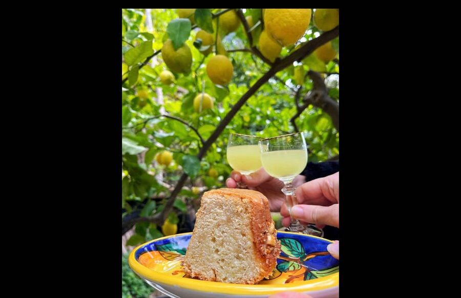 Amalfi Organic Lemon Tour & Tasting in the Historical Garden - What the $59 price gets you