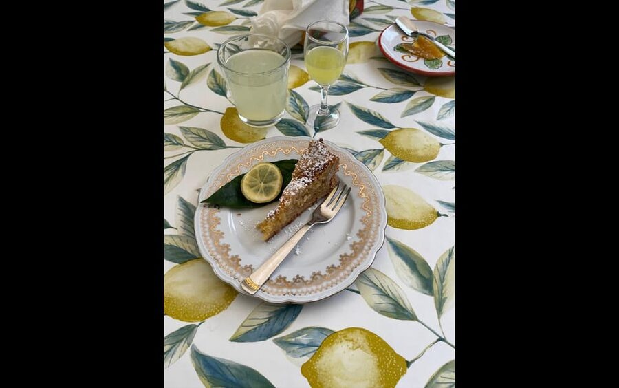 Amalfi Organic Lemon Tour & Tasting in the Historical Garden - Who should book this Amalfi experience