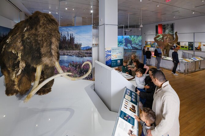 American Museum of Natural History Admission Ticket - Why this museum deserves at least half a day