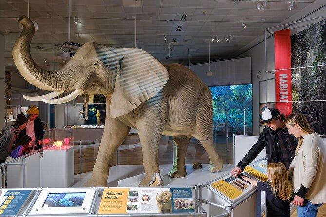 American Museum of Natural History Admission Ticket - How long should you spend inside?