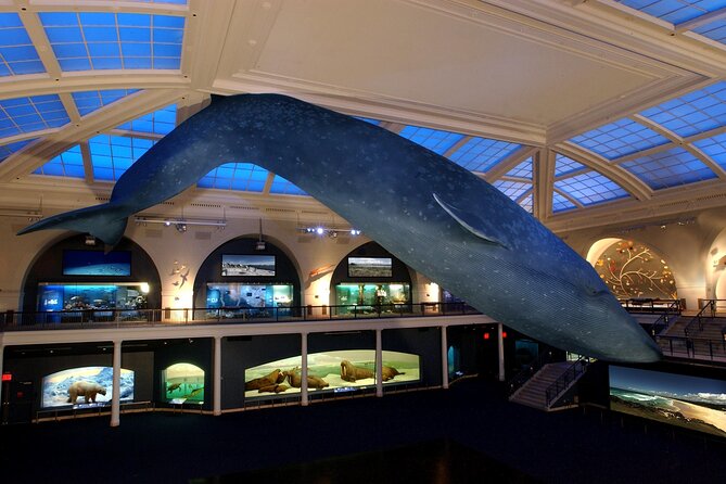 American Museum of Natural History Admission Ticket - Food, breaks, and a nearby Central Park plan