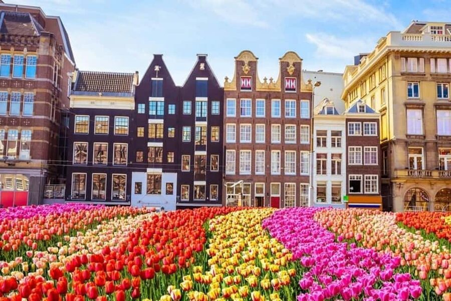 Amsterdam: Walking Tour of Historic Center - Dam Square and the city’s main stage