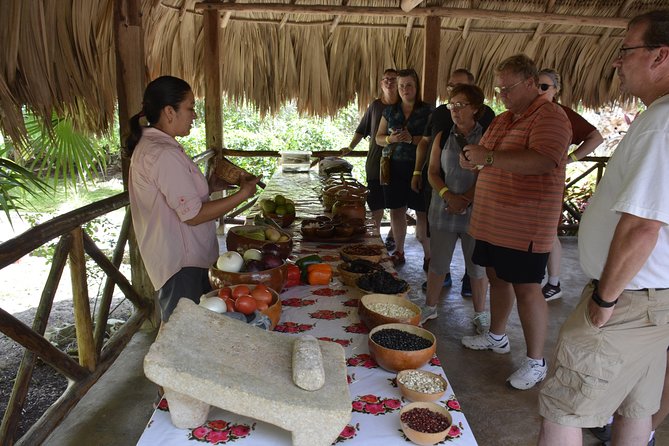 Ancient Chacchoben Mayan Ruins & Mayan Experience from Costa Maya - Timing, group size, and cruise-day risk