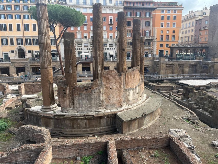 Ancient Rome: Archeological area Largo Argentina - Who should book this experience?