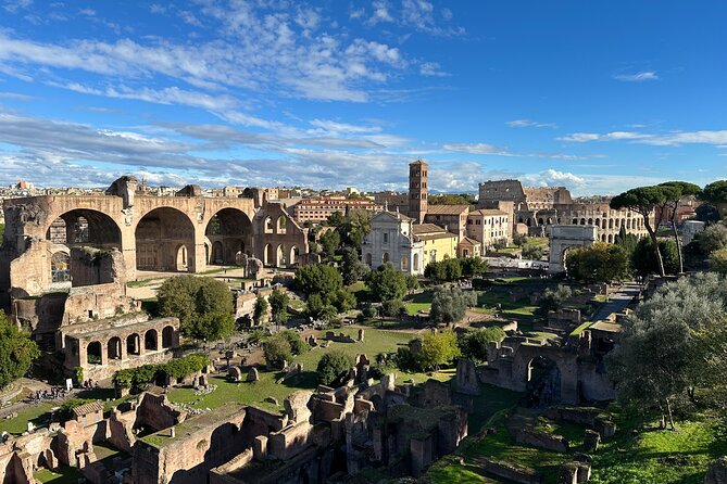 Ancient Rome Discovery: Colosseum, Forum, Palatine Guided Tour - Climbing Palatine Hill for imperial views