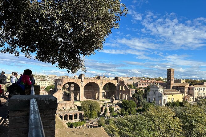 Ancient Rome Discovery: Colosseum, Forum, Palatine Guided Tour - What the $156 price includes