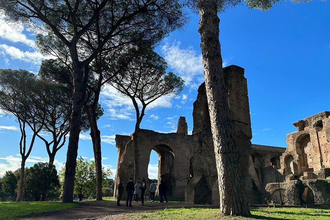 Ancient Rome Discovery: Colosseum, Forum, Palatine Guided Tour - Guides who make the ruins easier to read