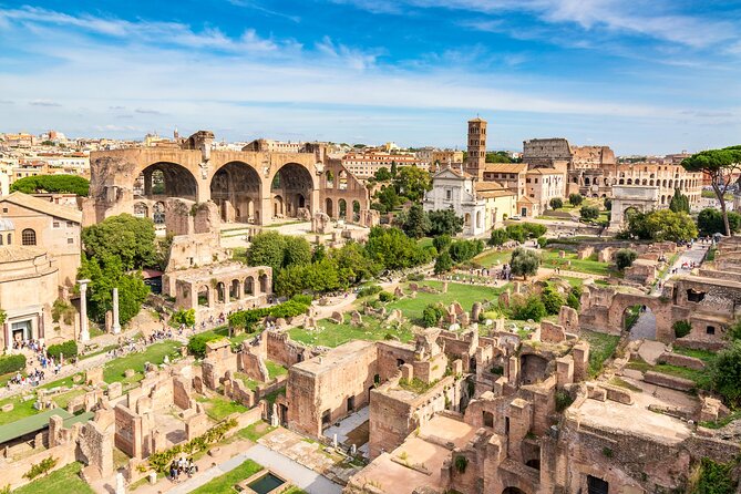 Ancient Rome Guided Tour: Colosseum, Forum and Palatine - What the guides add to the experience