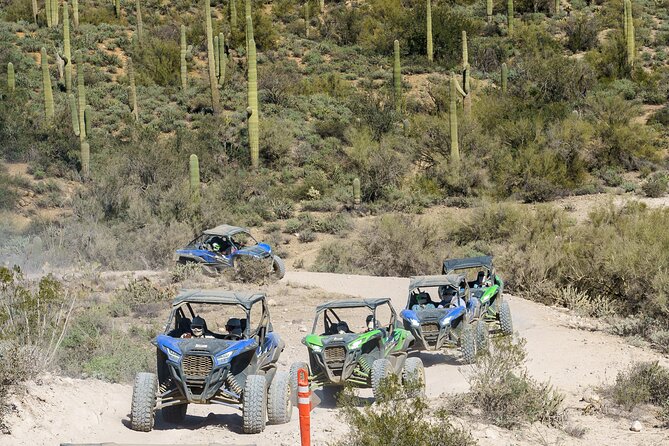 Ancient Ruins Tour - Guided Arizona Desert Tour by UTV - Key points to know before booking