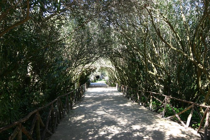 Ancient Syracuse: private guided tour of the Neapolis archaeological park - Why a private tour works well here