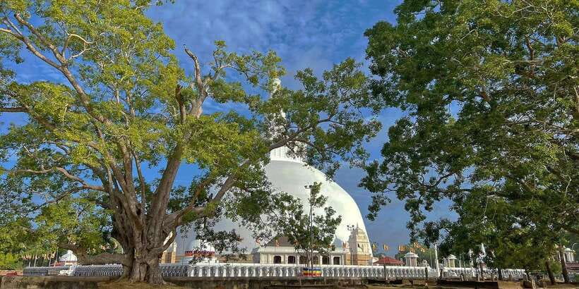 Anuradhapura Private Ancient City Day Tour - Why Anuradhapura works best with wheels