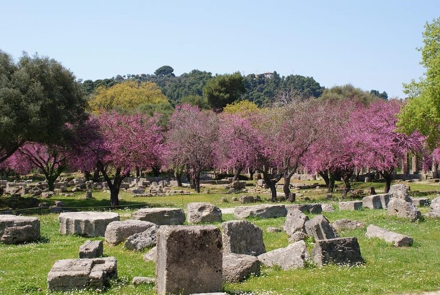 Athens: Corinth Canal and Ancient Olympia Private Trip - The Archaeological Museum and the wider museum visit