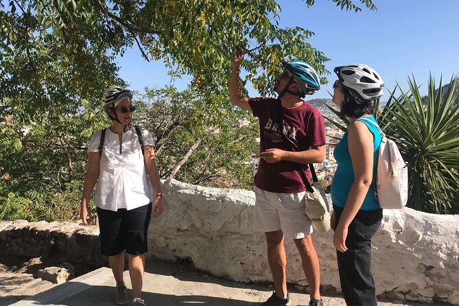 Athens Highlights by E-Bike: Small-Group Historic Tour - The Temple of Olympian Zeus and Hadrian’s Arch