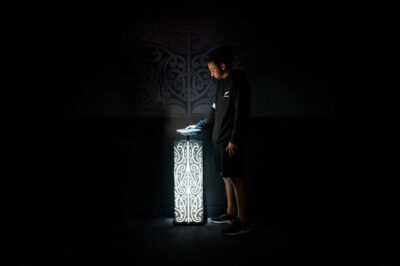 Auckland: All Blacks Experience Guided Cultural Tour