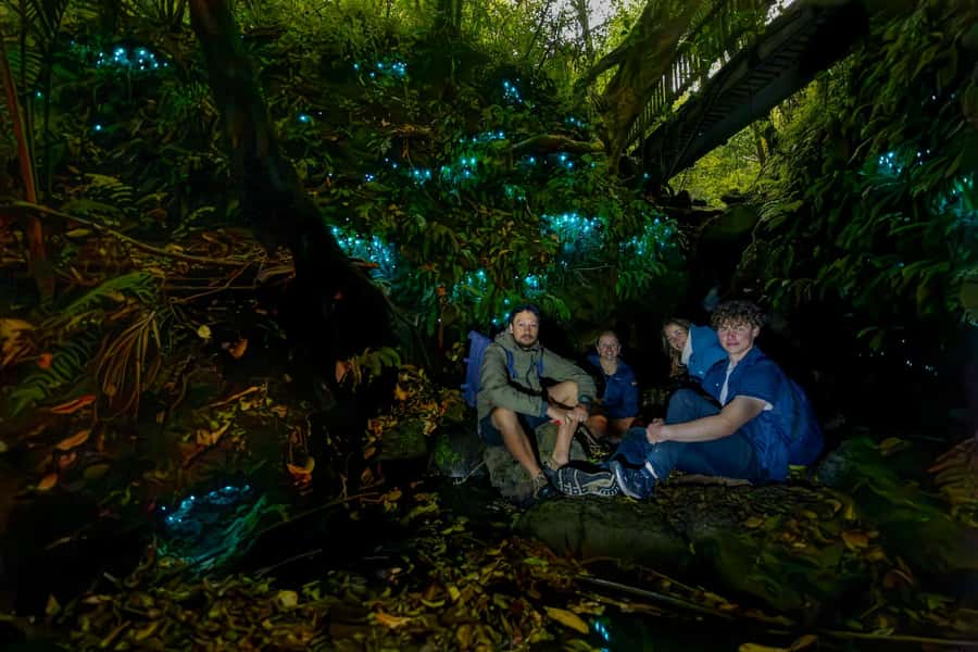 Auckland: Inner-City Glowworm Experience in Ancient Volcano - The one-hour route through the Domain