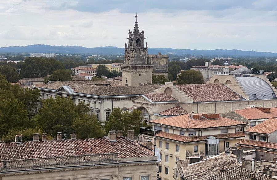 Avignon: History and Legend Walking Tour - Pont Saint-Bénézet and the Rhône