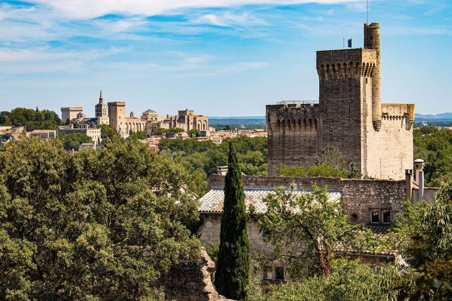 Avignon: Private Walking Tour – Discover History & Heritage - The Palace of the Popes From Outside