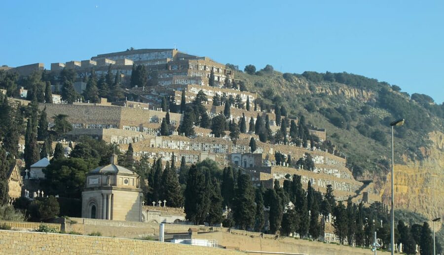 Barcelona: Cemetery Tour - Gothic Graves & Local History - Who will enjoy this tour most