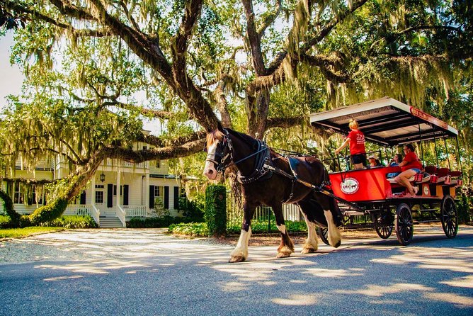 Beaufort’s #1 Horse & Carriage History Tour - Key points at a glance