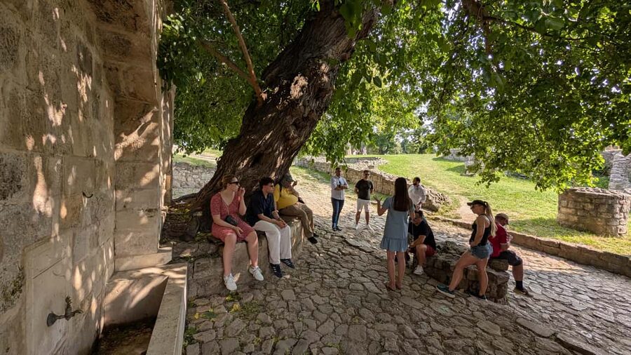 Belgrade: 3-Hour Serbian History Walking Tour - What the guides do best