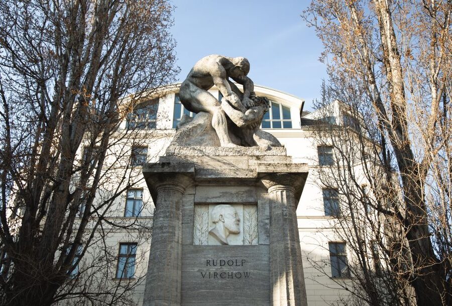 Berlin: Berlin Charité Guided History Tour - The German-language format and guide style