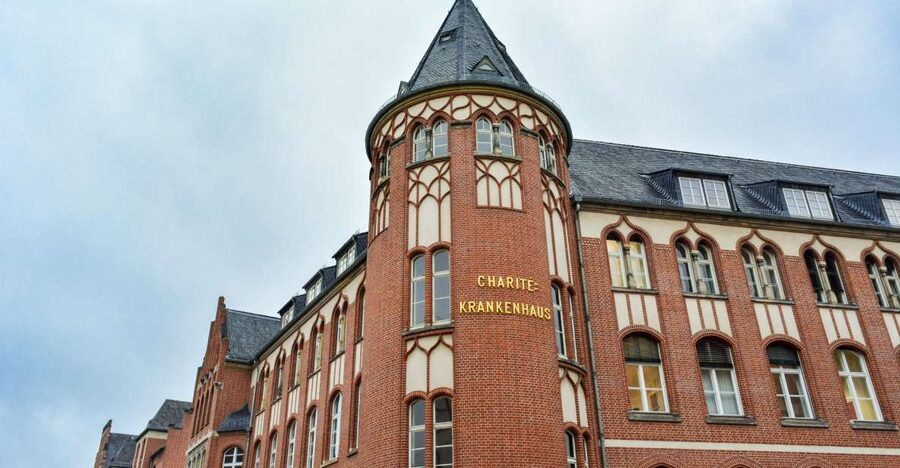 Berlin: Charité Hospital Walking Tour of Medical History - The Veterinary Anatomy Theatre and 18th-century medicine