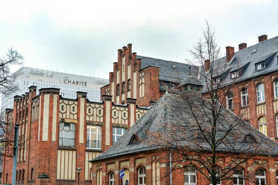 Berlin: Charité Hospital Walking Tour of Medical History - Walking the neo-Gothic Charité campus