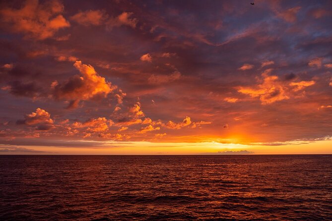 Big Island Historical Dinner Cruise to Kealakekua Bay - Who Should Book This Experience