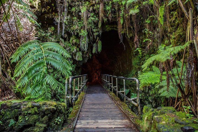 Big Island in a Day: Volcanoes Waterfalls Sightseeing and History - Walking through Thurston Lava Tube