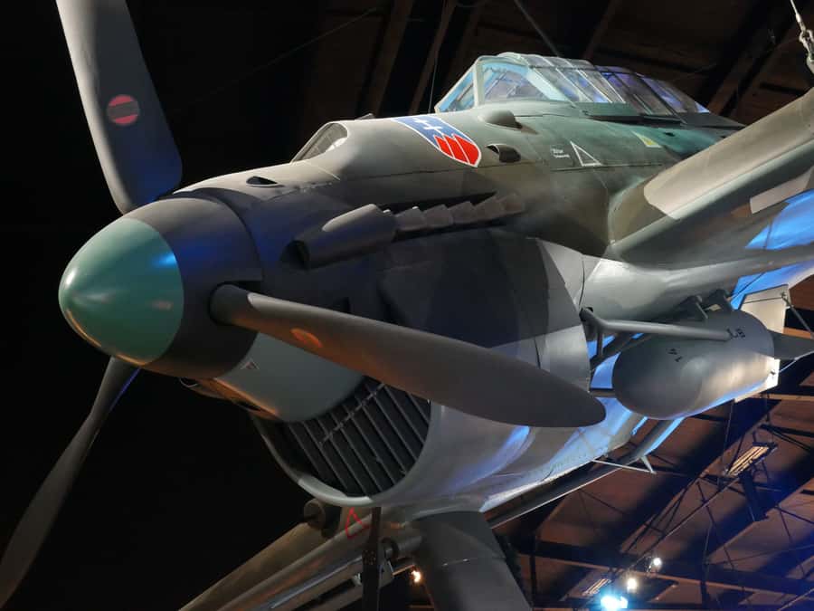 Blenheim: Omaka Aviation Heritage Centre Admission Ticket - Should you book the Omaka Aviation Heritage Centre?
