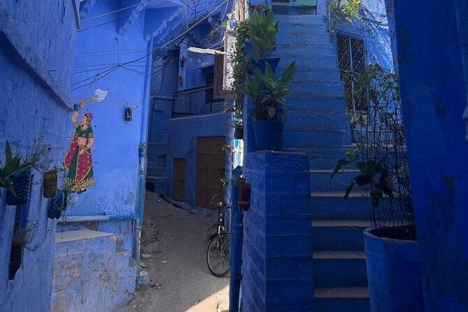Blue City Heritage Private Walking Tour With Pickup and Drop-Off - A good fit for first-time visitors and mixed-age groups