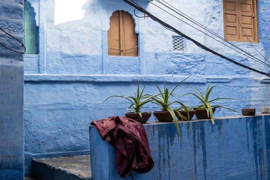 Blue City Heritage Walking Tour With Pick Up & Drop Off - A Guide Who Can Adapt to You