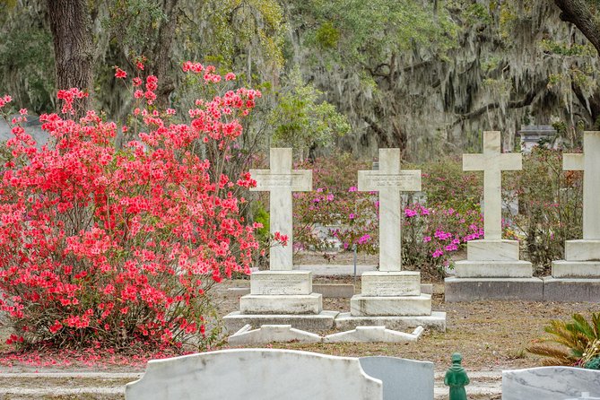 Bonaventure Cemetery & Wormsloe State Historic Site Tour - Guides make the difference