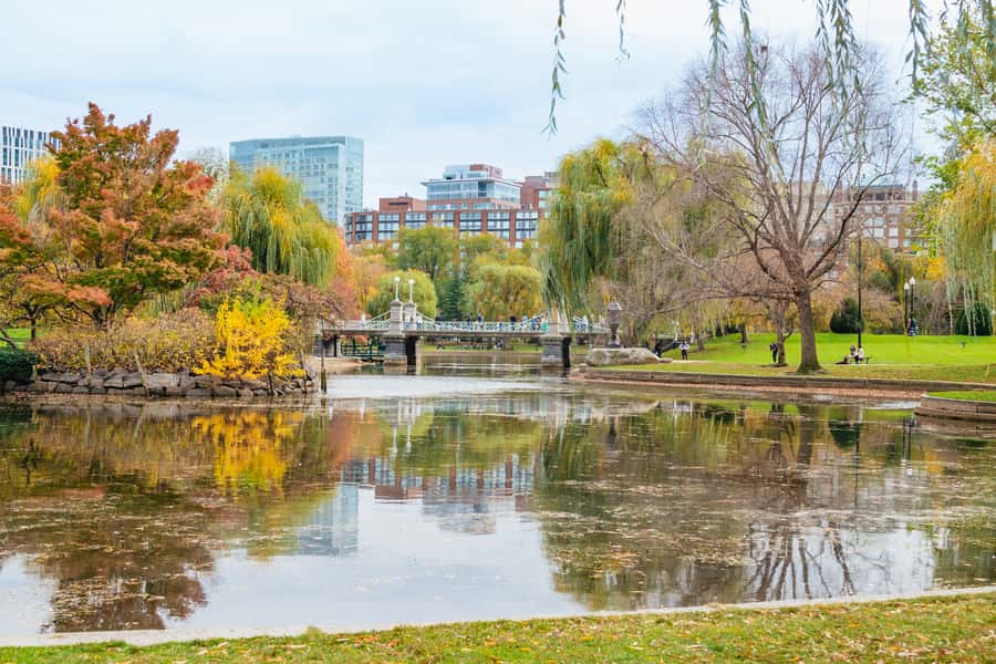 Boston: 2-Hour Historic Walking Tour - Beacon Hill’s Gaslights and Brick Side Streets