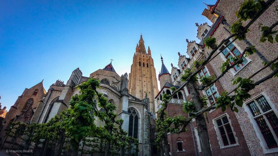 Bruges: Private Historical Highlights Walking Tour - The Fish Market and Half Moon Brewery