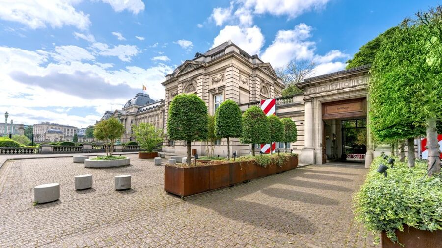 Brussels: BELvue Belgium History Museum Entry Ticket - Pluralism and migration in a small country