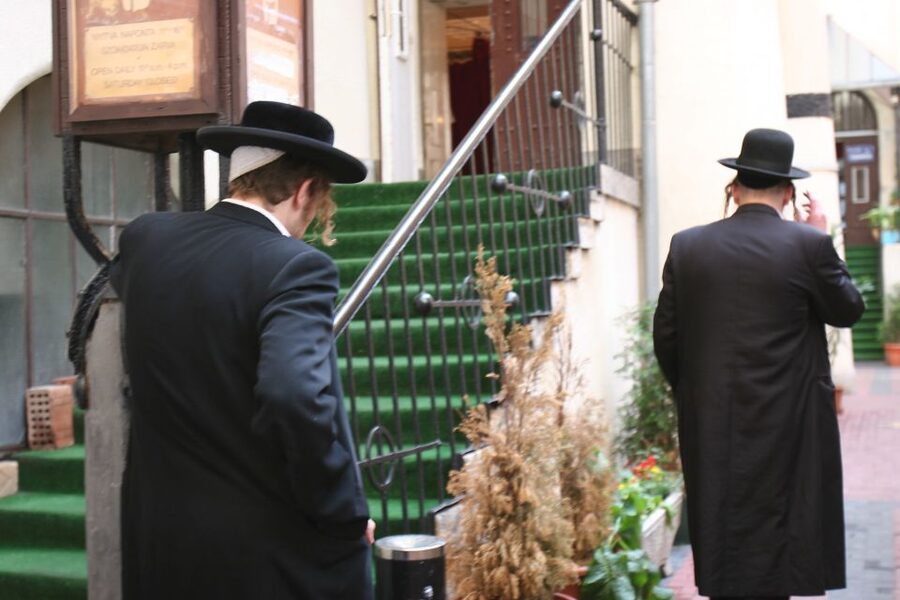 Budapest: Jewish Heritage Guided Tour with Synagogue Ticket - Raoul Wallenberg Memorial Park and the Tree of Life